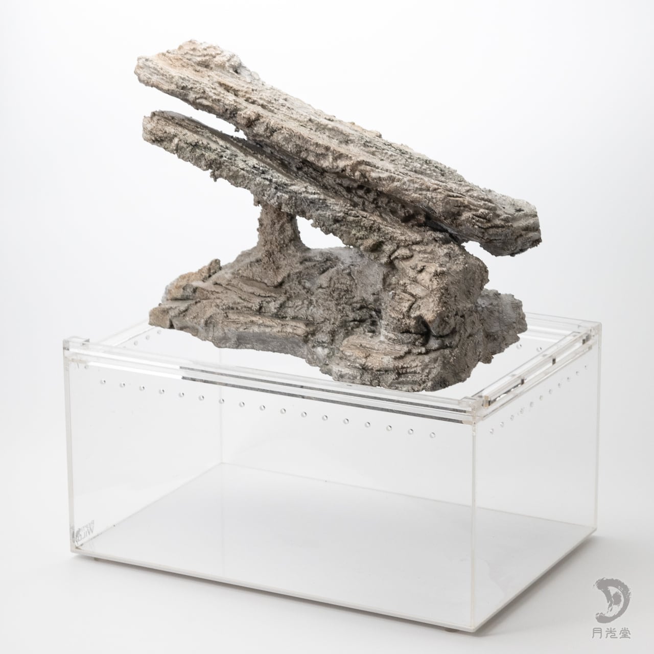 月光堂 「 バスキング スロープ 二層 」｜レプタイルボックスに収まら