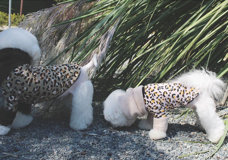 ヒョウ柄トップス S ~ XL 2color / 犬服 秋冬 新作 可愛い 暖かい ドッグウェア 長袖 Tシャツ 犬 服 お揃い 小型犬 中型犬 top102