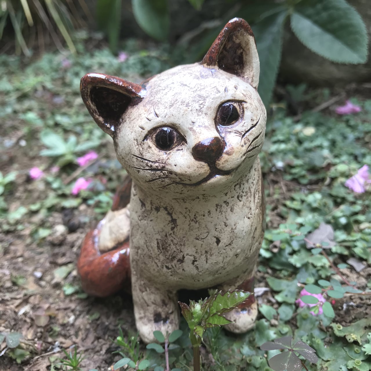 茶ブチの猫 S-3 | Gallery DoDo