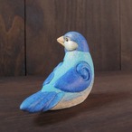 青色文鳥 no.23