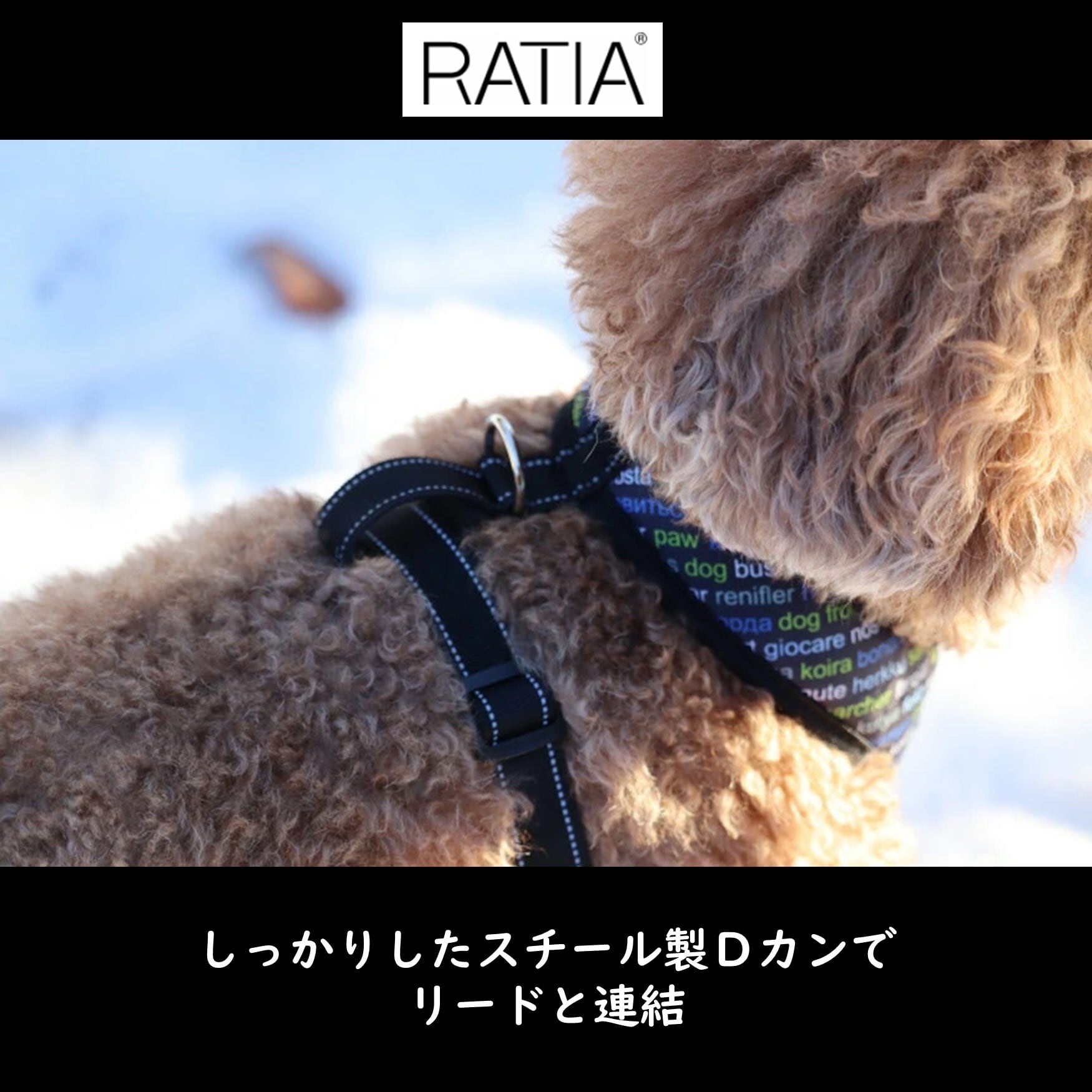 Ratia】【デザインスタジオ ラティア】北欧デザイン・ラティア