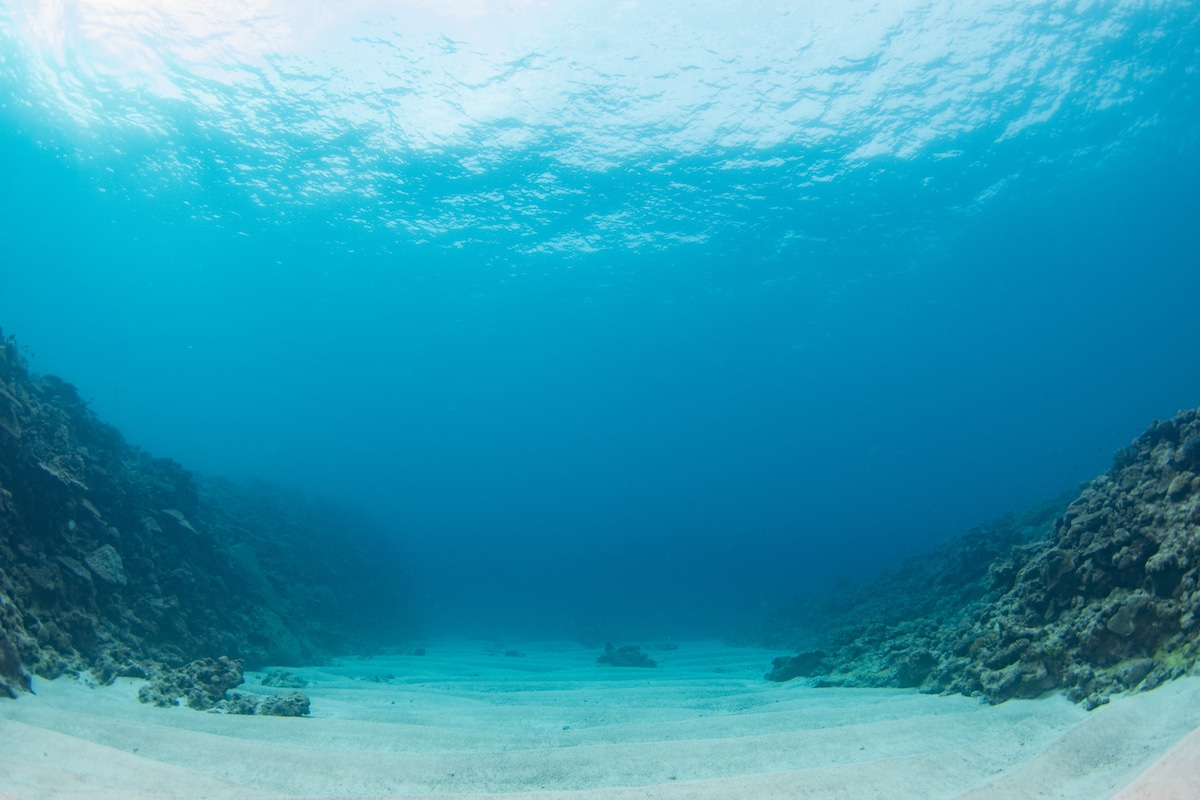 Ocean Generaic Depth | Kita’s Ocean Gallery