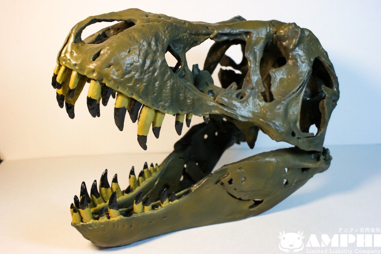 アンフィのオリジナルT.rex頭骨模型(スタンモデル アンフィのオリジナルT.rex頭骨模型(スタンモデル