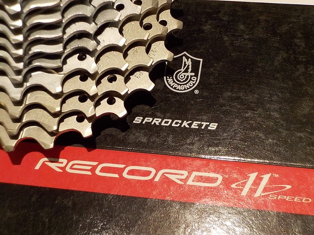 Campagnolo 11S Record カセットスプロケット　11-25