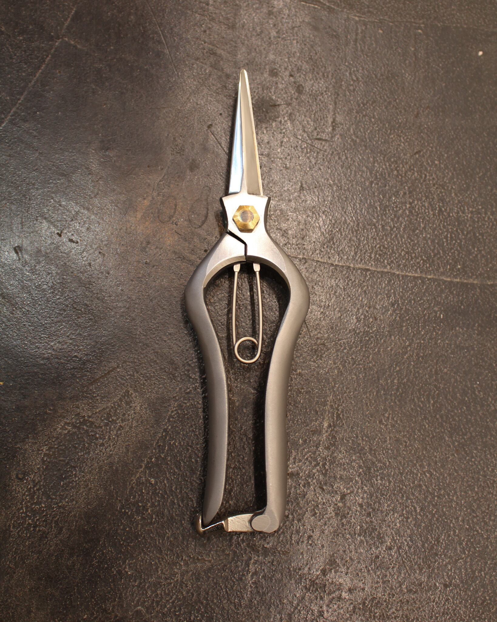 PLATYCERIUM SHEARS vandaka plants × 外山刃物 | vandaka plants