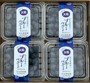 【3L以上】【約1kg】小分けパック（125g×8パック入り）大粒ブルーベリー
