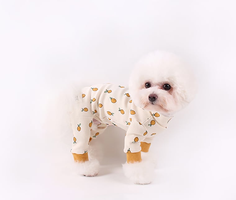 Lemon All-in-one S ~ XL 2color / 犬服 秋冬 新作 可愛い 犬の服 ロンパース ドッグウェア 小型犬 中型犬 猫 |  ペット用品ショップ NARI PET powered by BASE