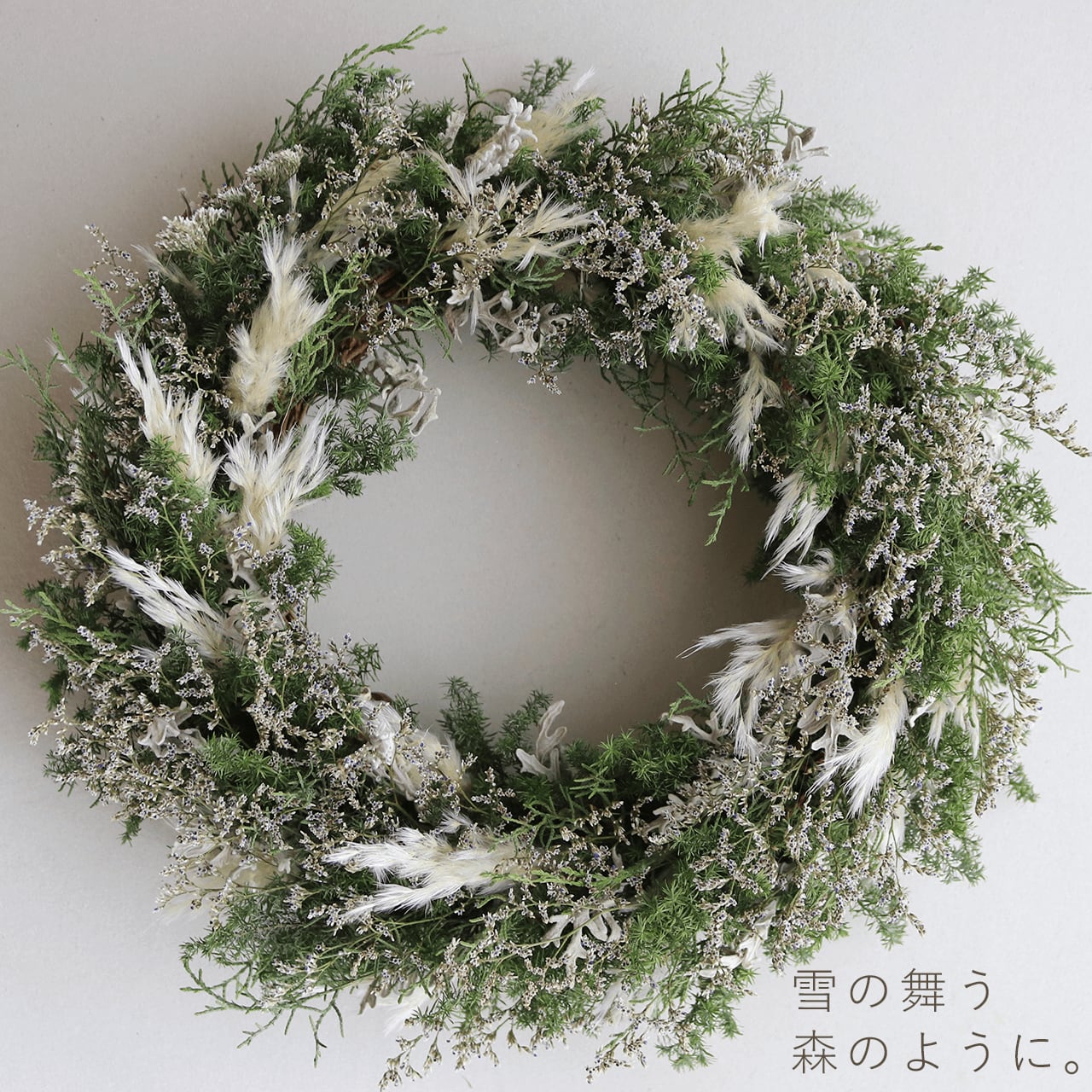 大きめ針葉樹のリース * ホワイト ドライフラワー / 深い森を 大きめ針葉樹のリース * ホワイト ドライフラワー / 深い森を