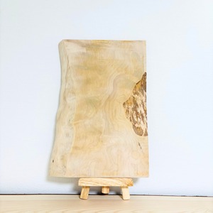 No.1023　カバザクラ