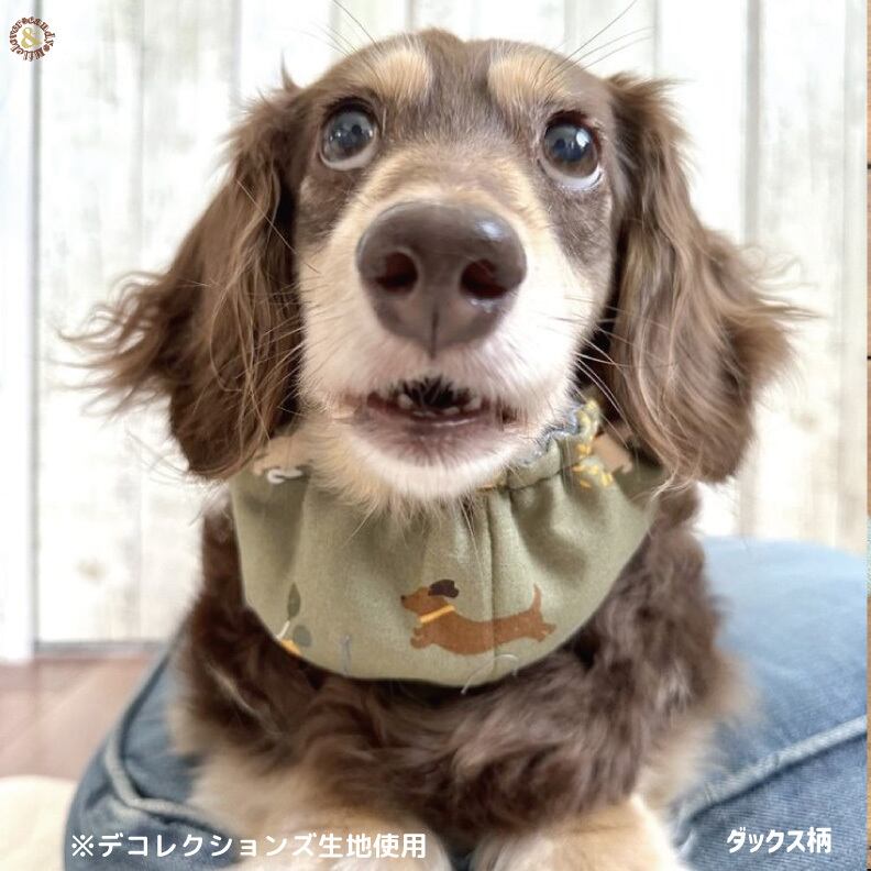 ダックス柄追加！わんこのうさみみリボンのクールネック