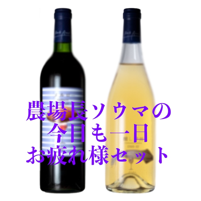 【数量限定20セット】醸造家須合のおすすめワイン「夏」