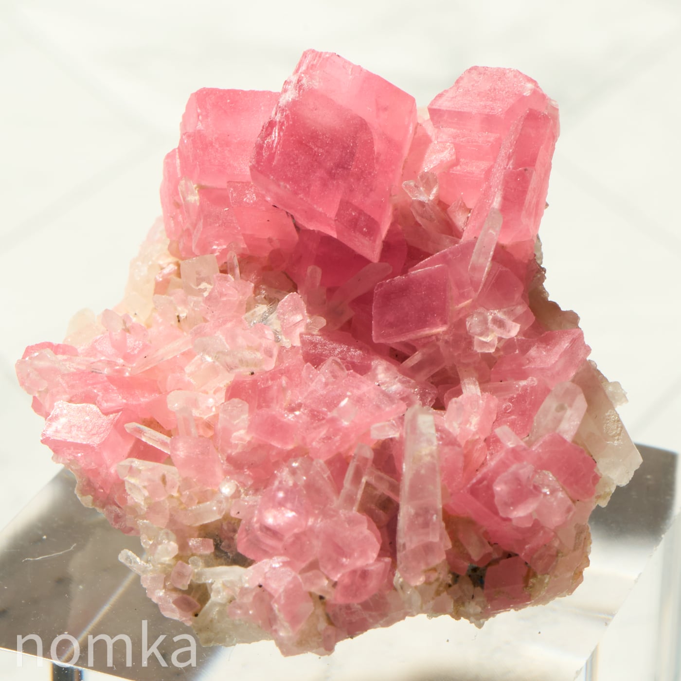 芳醇な薔薇色の雫-心ときめくインカローズ特集- | nomka