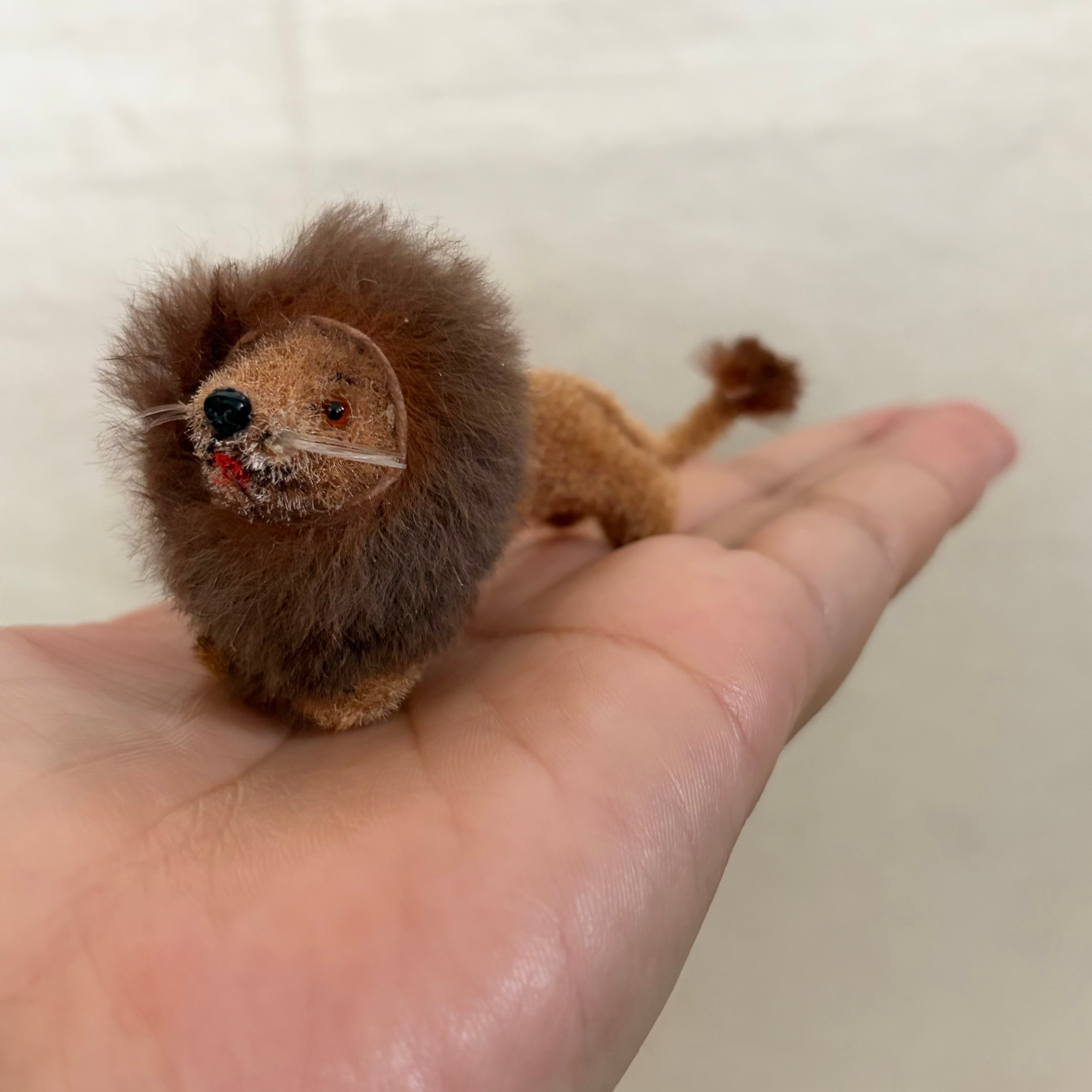 ワグナーのミニライオン