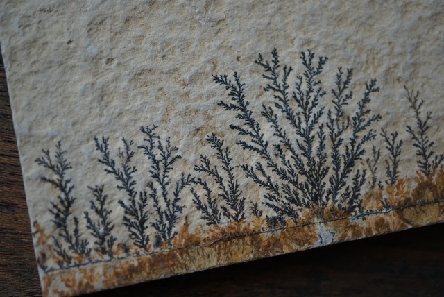 デンドライト 忍石 Dendritic limestone 1508