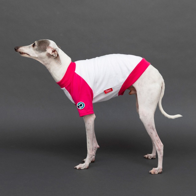 ラグランTシャツ　pink / イタグレ服