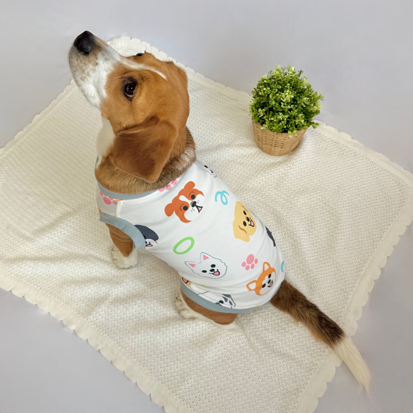 わんわんわん!トップス【中〜大型犬サイズ】