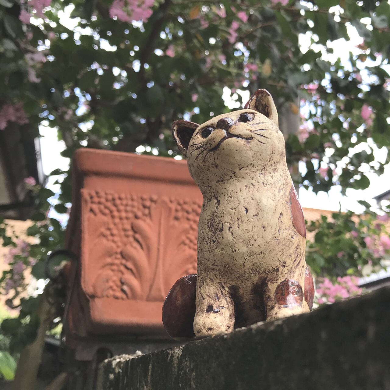 ネコ 茶ブチの猫 S-3 | Gallery DoDo