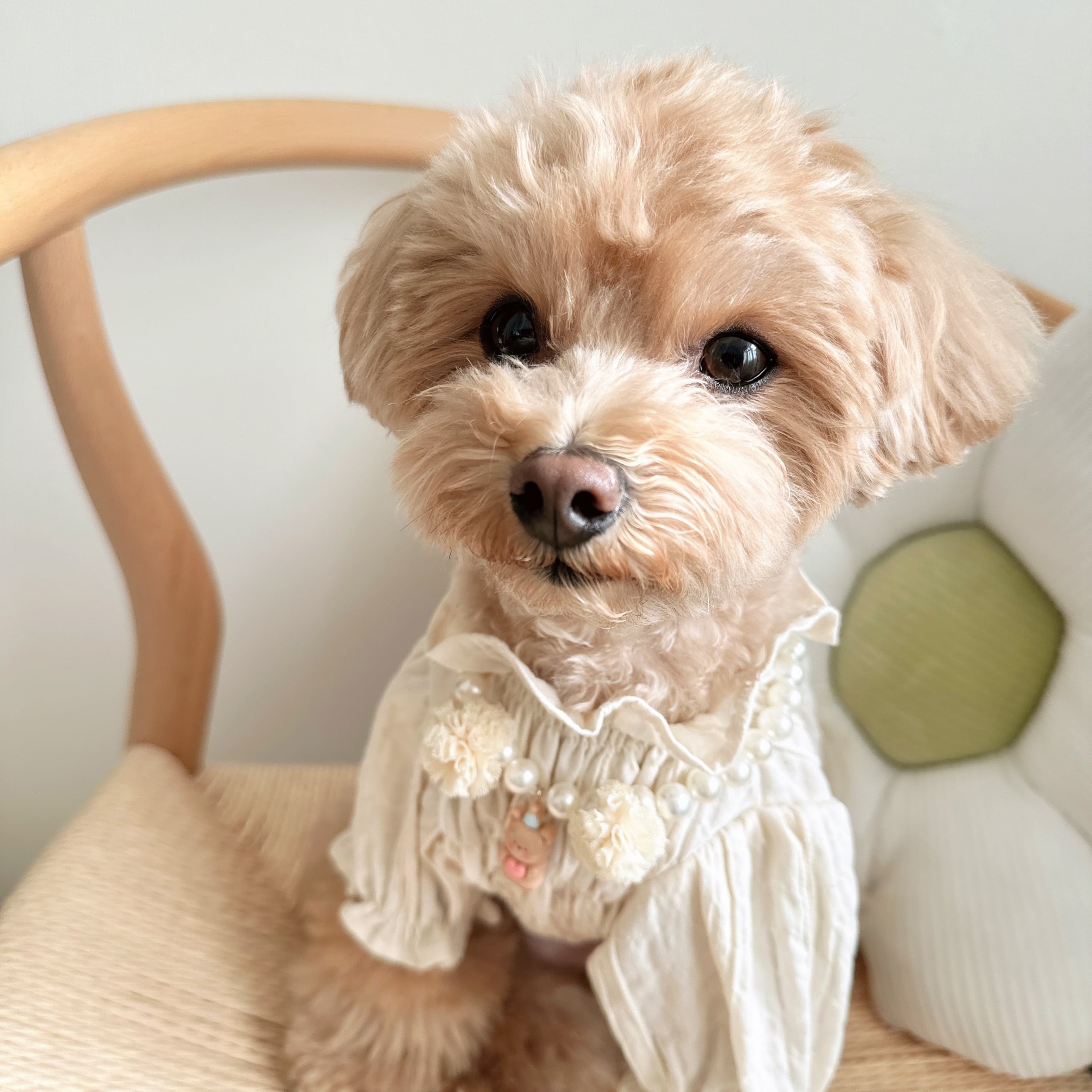 帽子くまさんボンボンレースネックレス