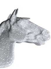 ENAMEL HORSE TRAY(GRAY)