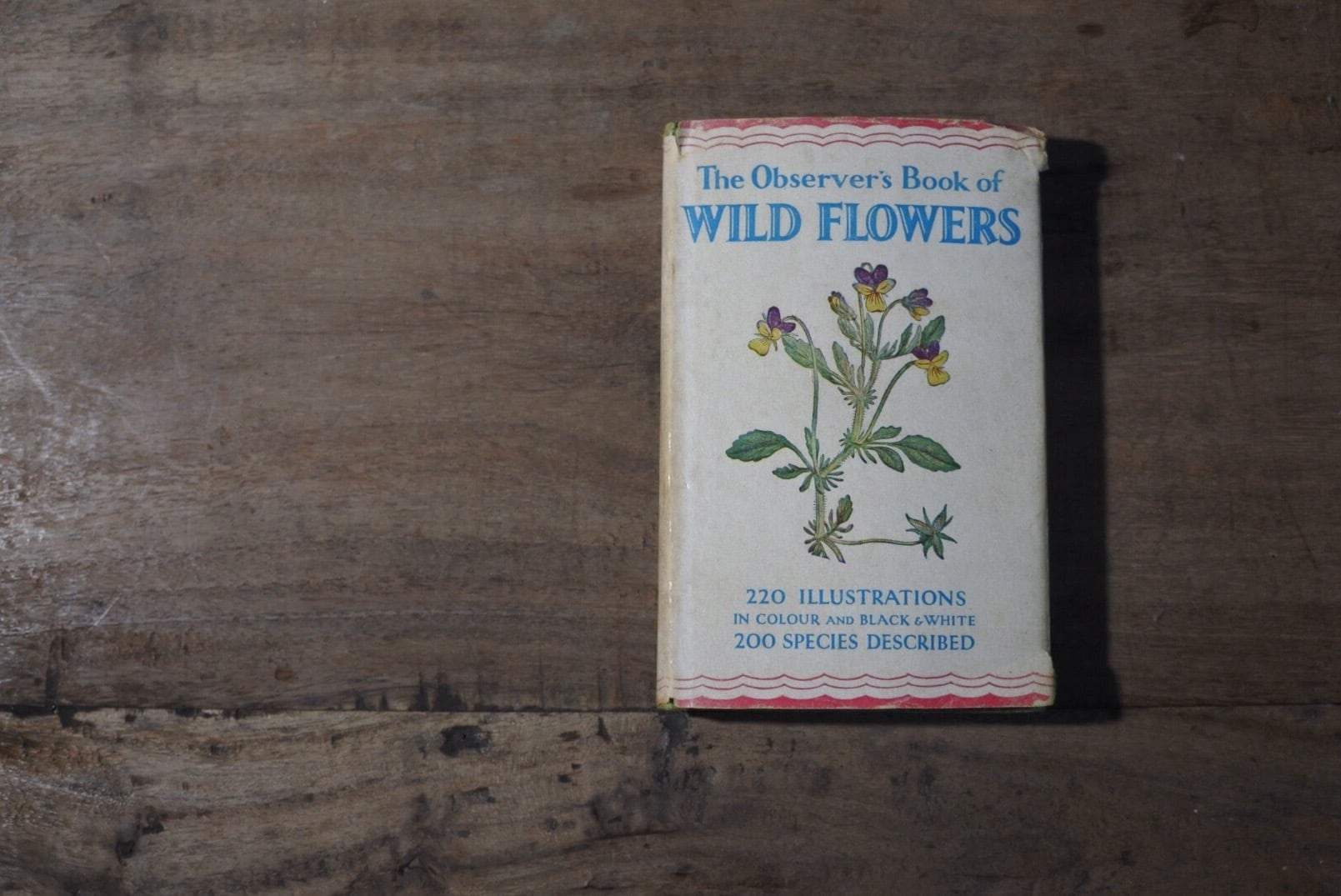 洋書 古書 The Observer's Book of Wild Flowers W. J. Stokoe