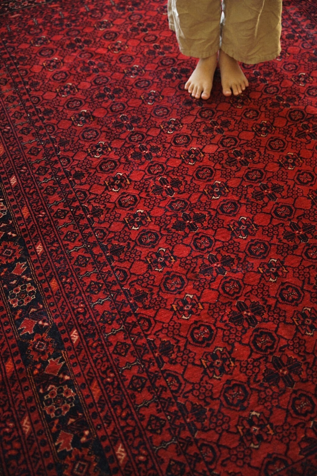 1012 -Vintage Turkmen Bashiri rug