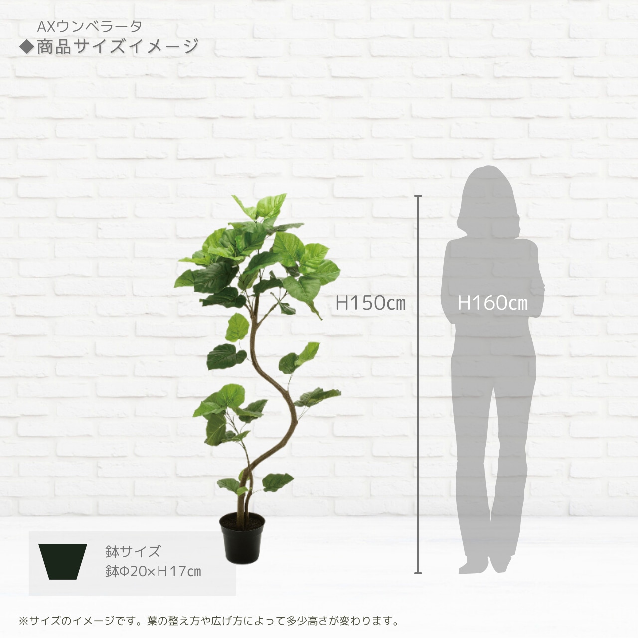 AXウンベラータ スパイラル150［人工観葉植物・フェイクグリーン］