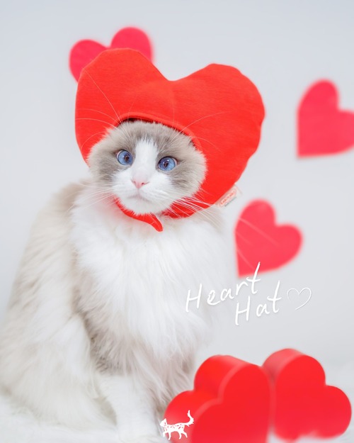 S即納･予約【tak!tak!tak!tak!】Heart hat RED