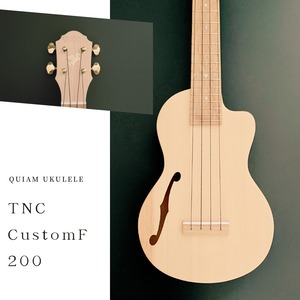 TNC CustomF200