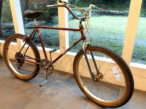 1982 Schwinn Sidewinder 5speed