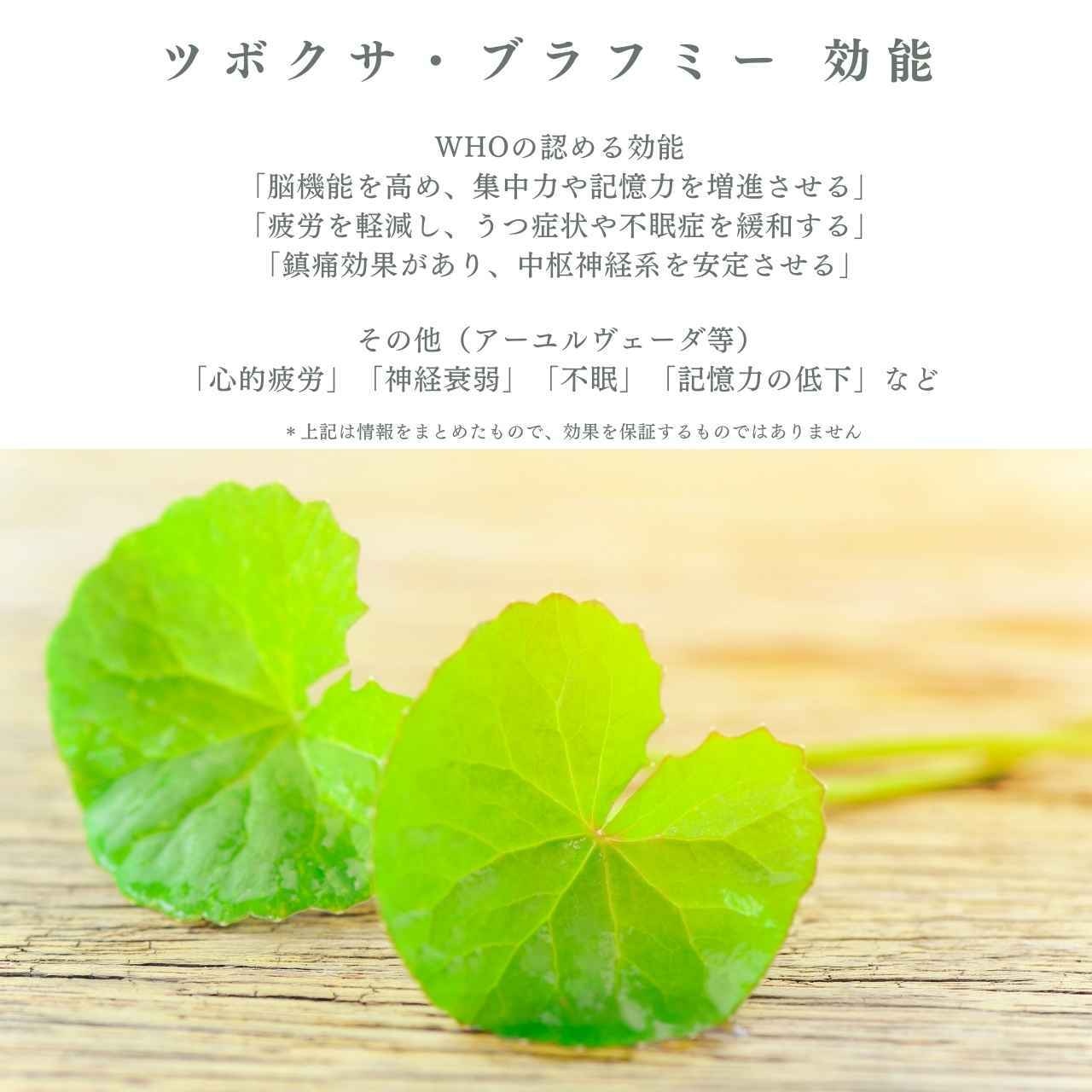 ツボクサ茶 ミントブレンド｜もだま工房 石垣島産 無農薬有機栽培ハーブティ