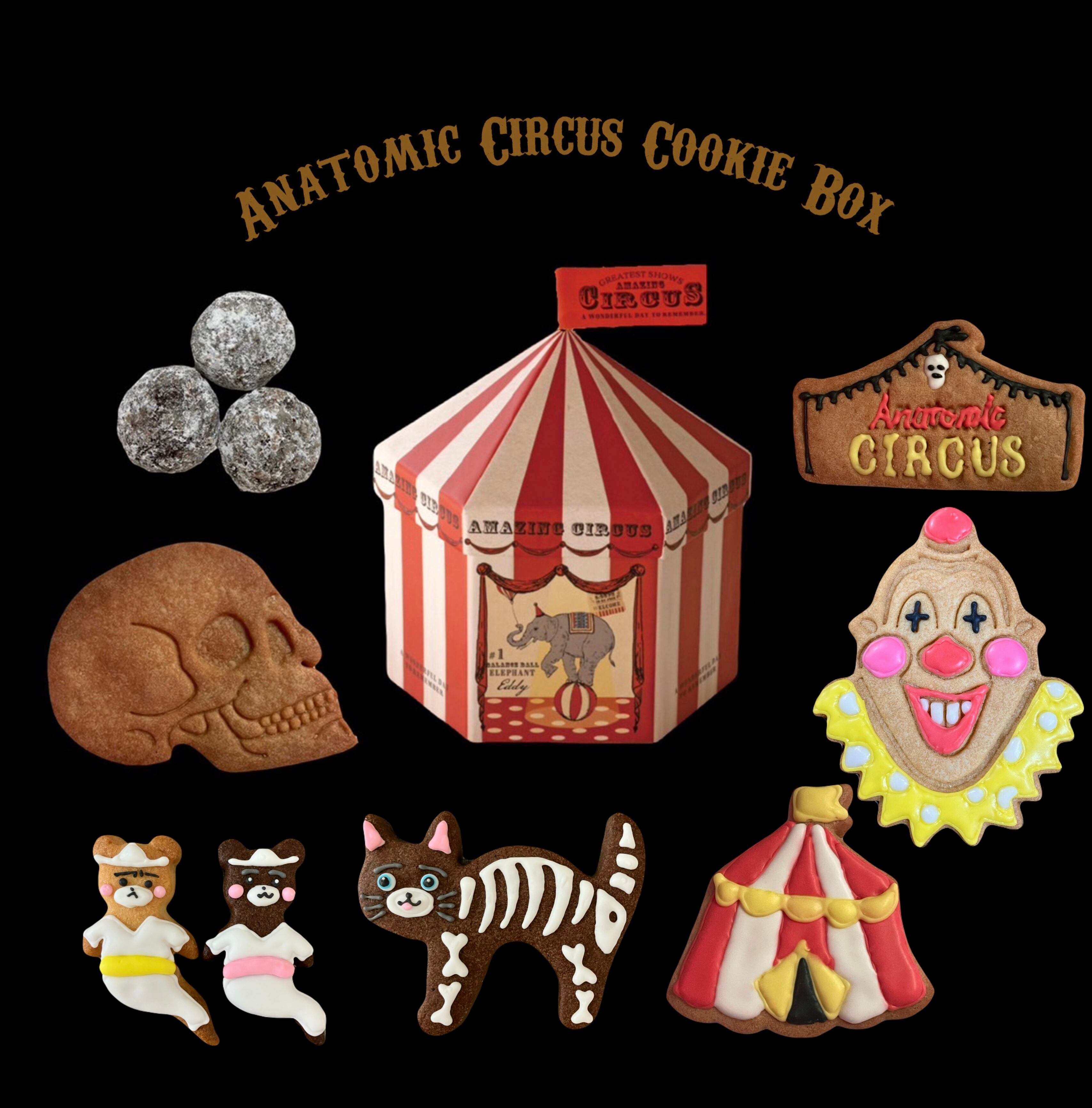 Anatomic circus クッキーBOX | Anatomic Circus