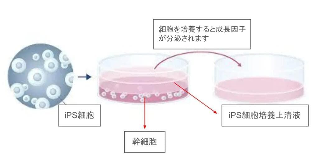 I PS DERMA INJECTOR(ダーマインジェクター) 2.5ml ダーマセラムリペア