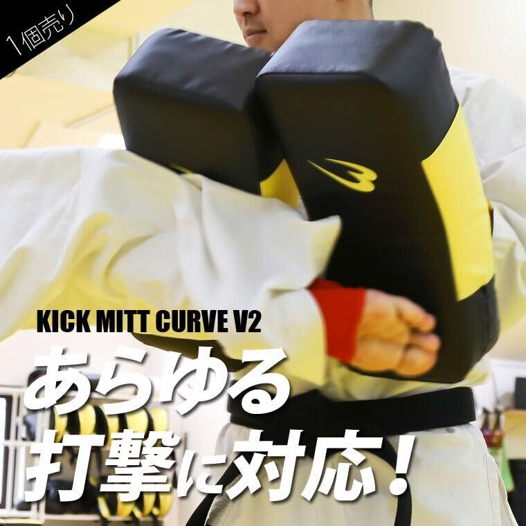 試割板 厚さ12ミリ 25枚 空手板 匿名配送80サイズ ①G 試割板 厚さ12ミリ 240×210 25枚 ニッポリ試割板種類No6 テコンドー板