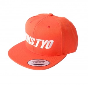 LOGO SNAPBACK