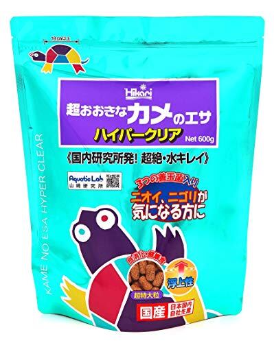 73mm】ヤンソニーテナガコガネ カメムシサシガメ甲虫昆虫標本ハムシ