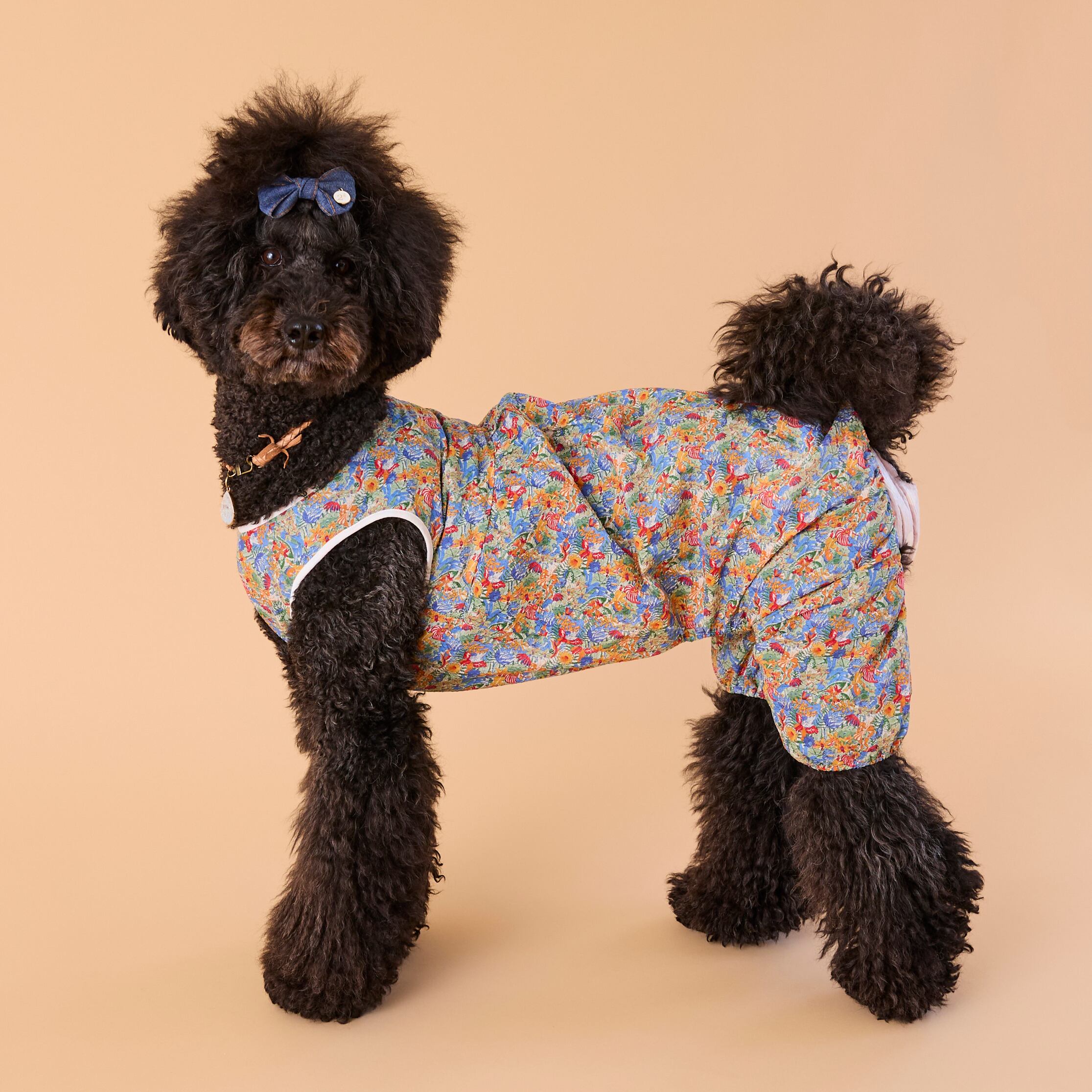 251016大型犬サイズ] バルーンロンパース | 犬服ブランド 2e deuxieme