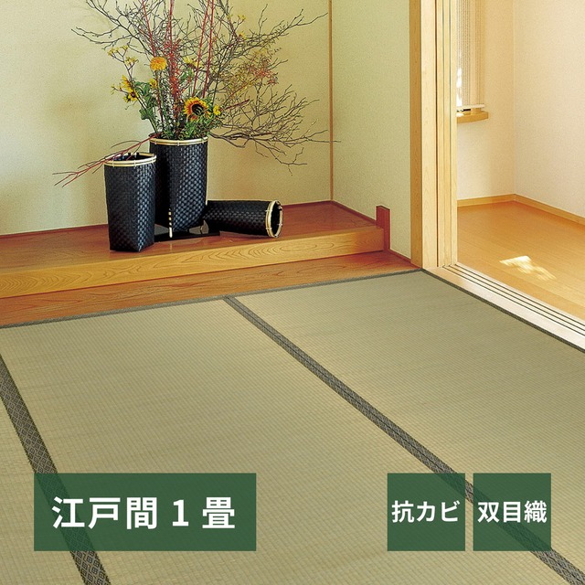 ベッド ソファーベッド-ロマン 178×86×68cm 組立設置付 すのこベッド パイプベッド