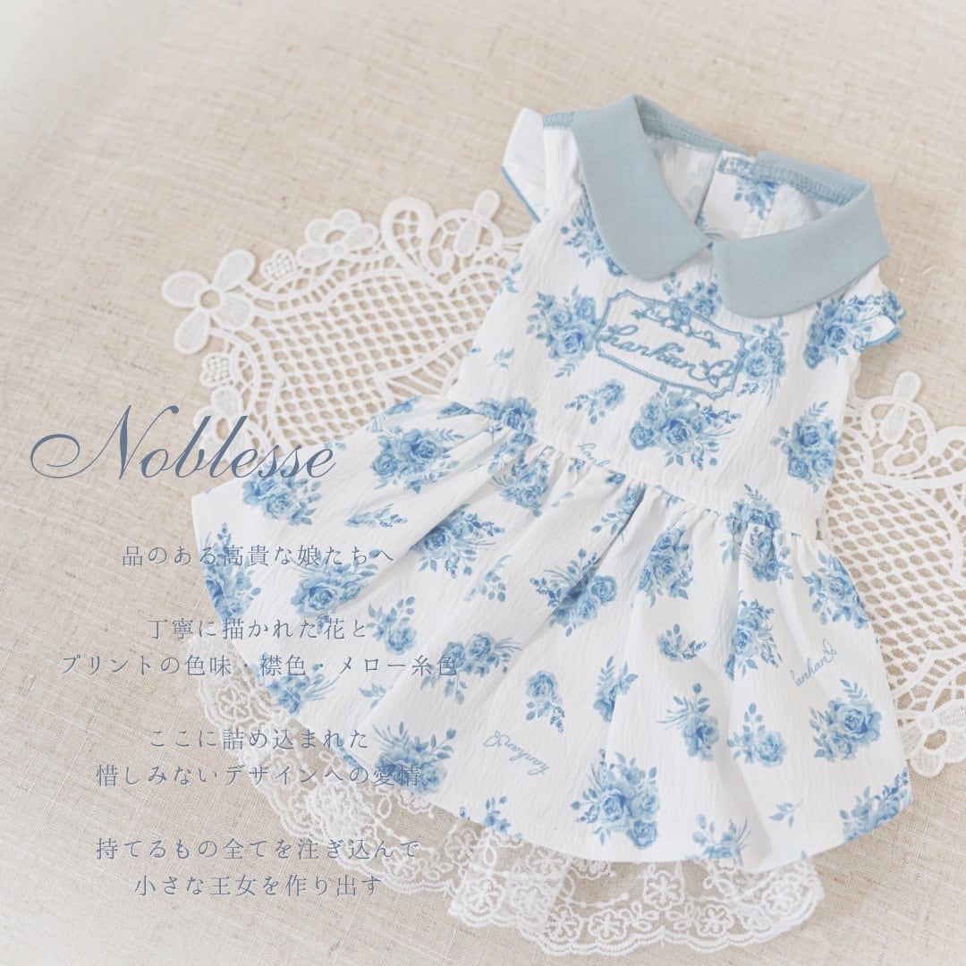Noblesse(貴族) bleu XXL.3XL