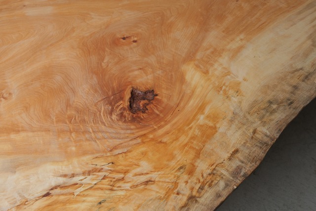 栃　Horse chestnut
