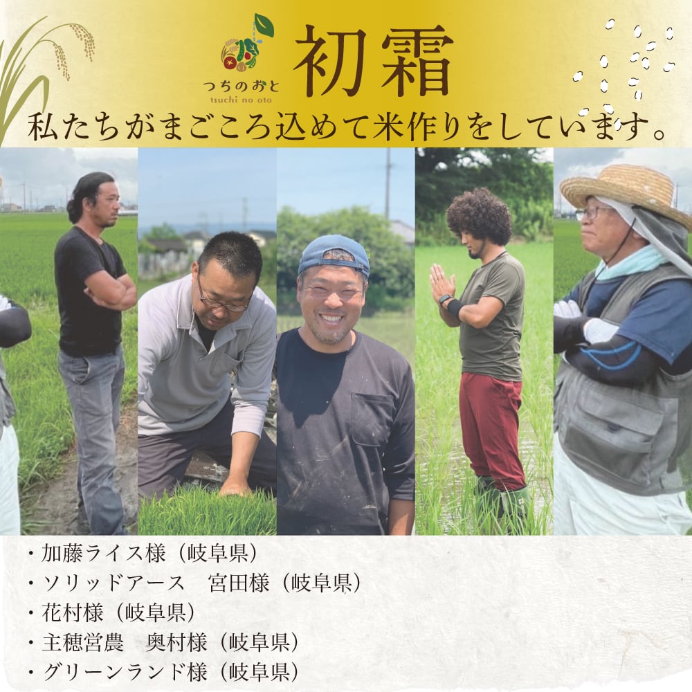 無農薬栽培米10kg　『つちのおと』玄米初霜【送料無料】岐阜県産 【玄米】【令和7年産】　朝食玄米　グルテンフリー　おにぎり