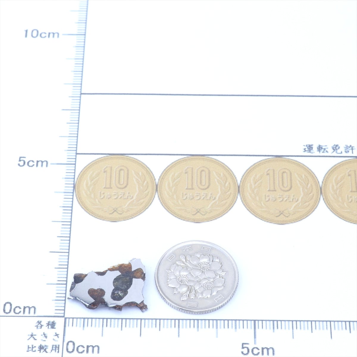 ボルジャ 隕石 2.2g パラサイト 石鉄隕石 標本 Borzya M2602 | 隕石販売.jp