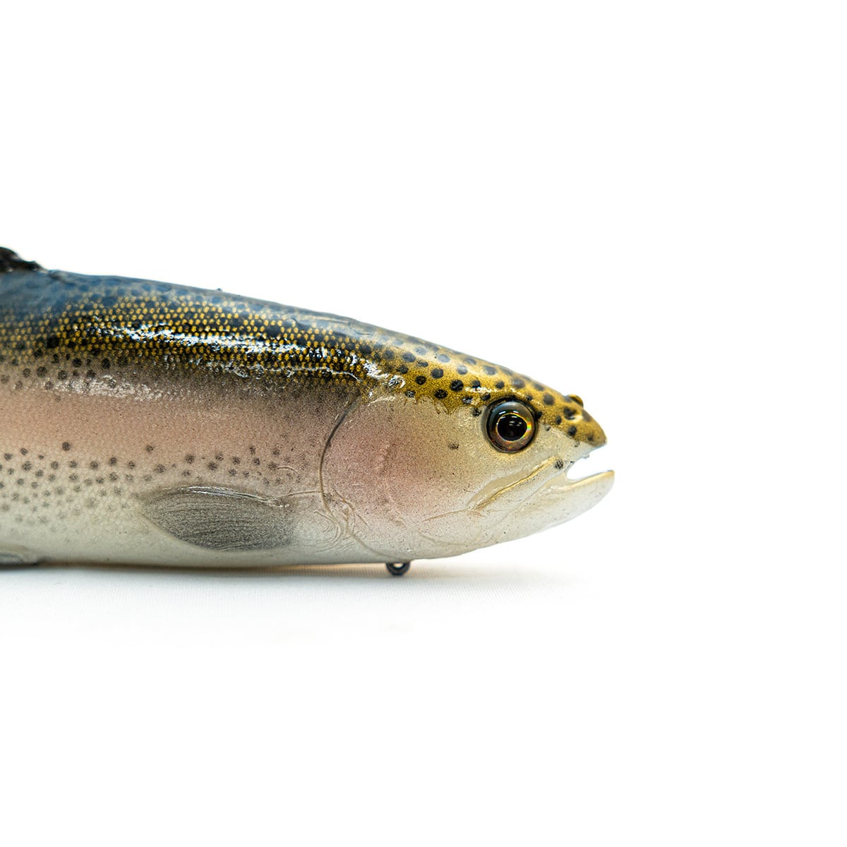 Chaos Bait / Chaos Trout 9.5 #Dark Trout | modeB Trading