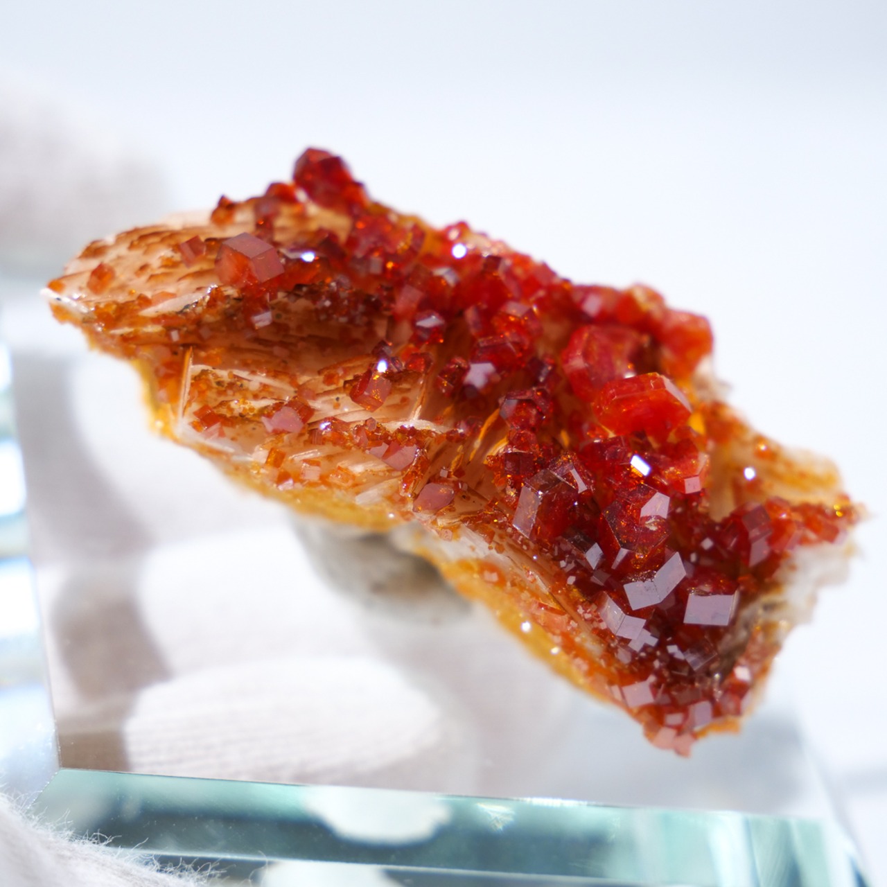 バナジナイト バナディナイト / 原石 標本