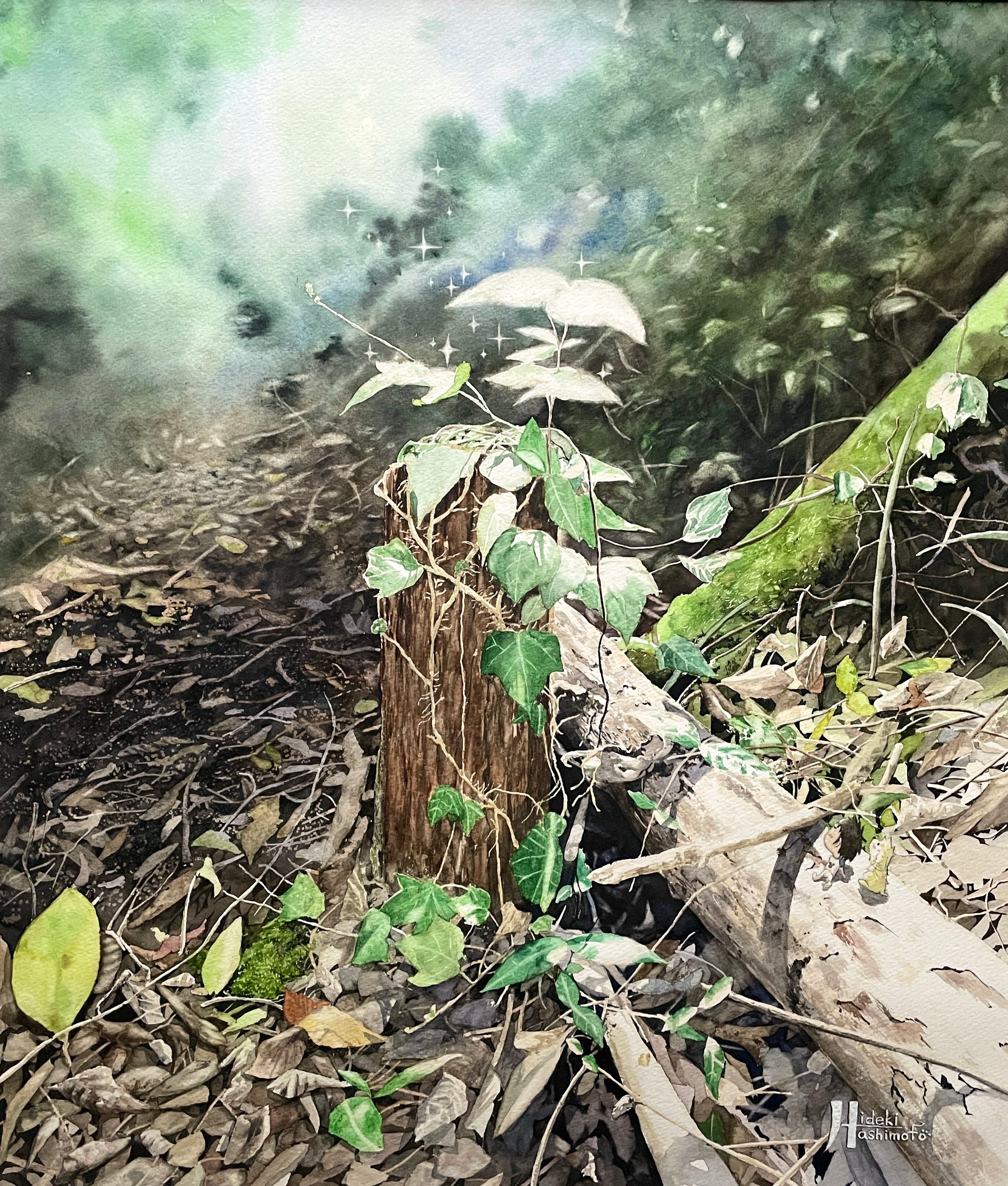 デイゴの花 油絵額縁付き デイゴの花 油絵額縁付き デイジー油絵