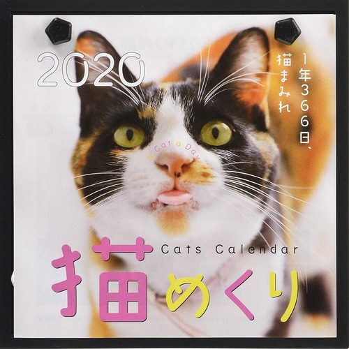 猫めくり 2020年 カレンダー 日めくり