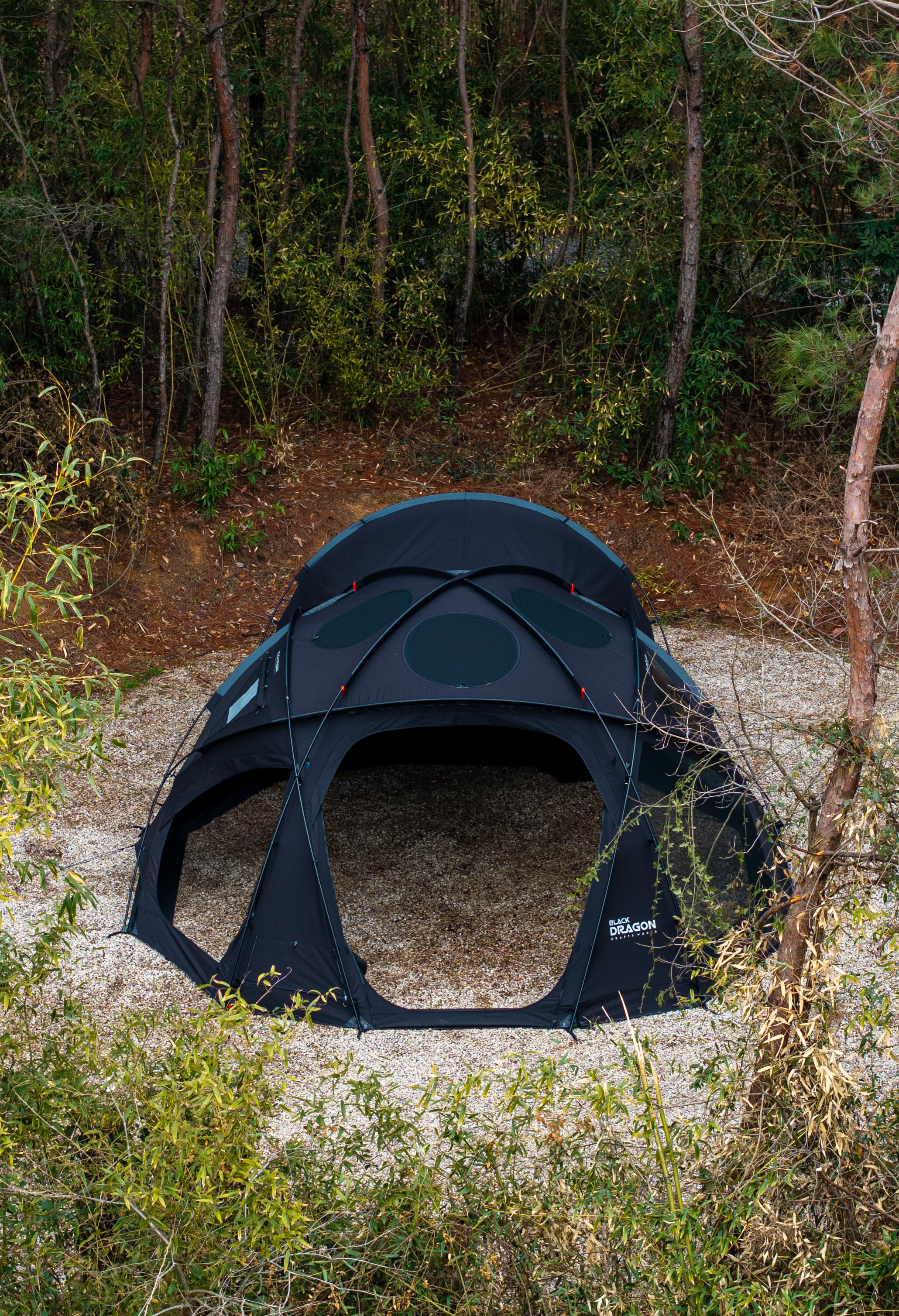 日本限定版Japan Limited Edition] Black Dragon S450 Pro T/C BLACK