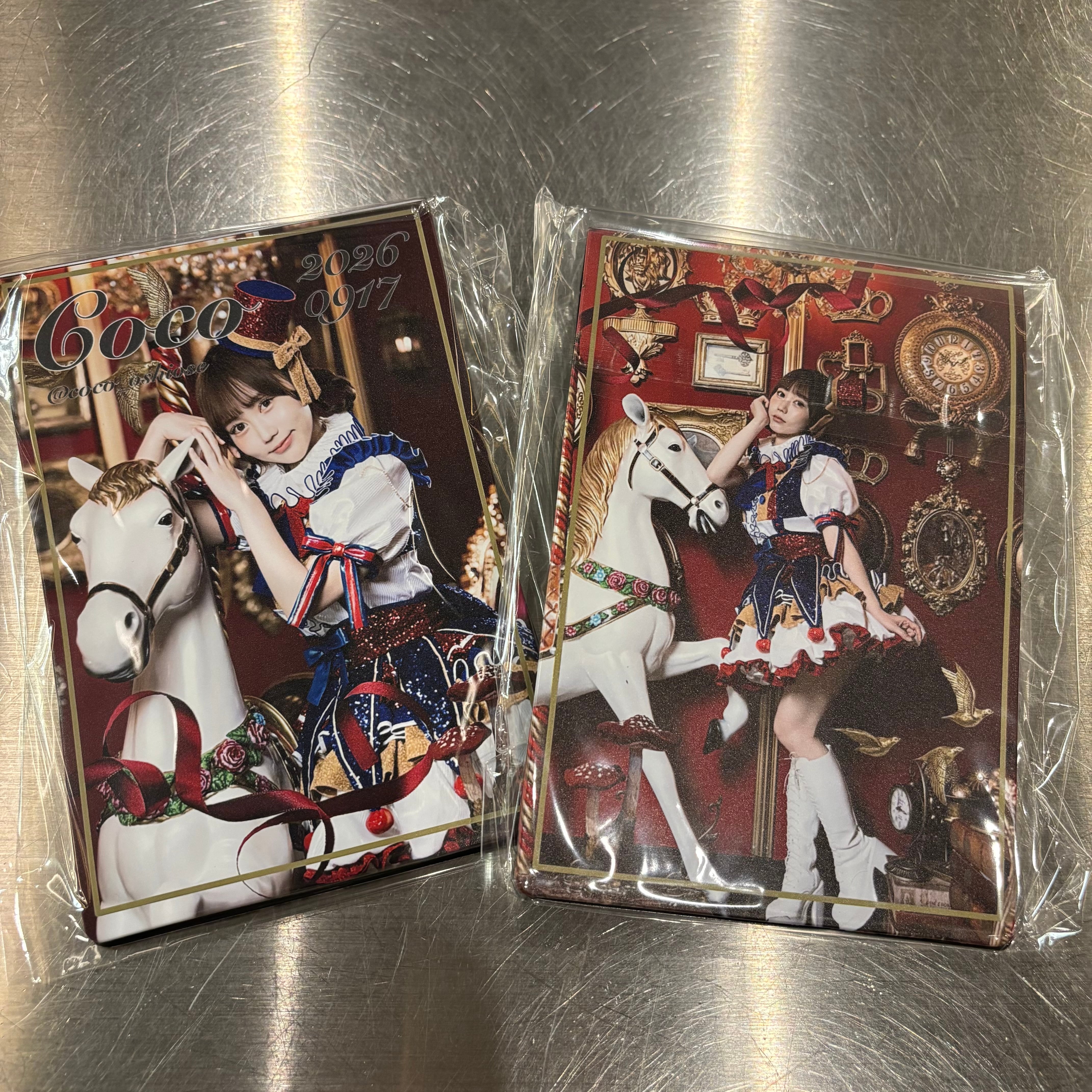 ここちゃん生誕ブロマイドファイル【来店受取】 | 推しは推せる時に推 ここちゃん生誕ブロマイドファイル【来店受取】 | 推しは推せる時に推