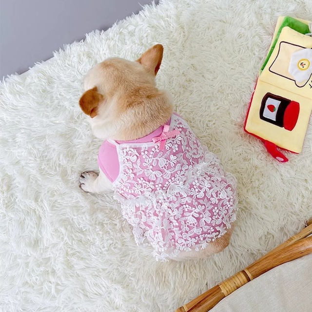 フレンチブルドッグ・パグ用　シースルーレースのピンクドレス　犬服　00265