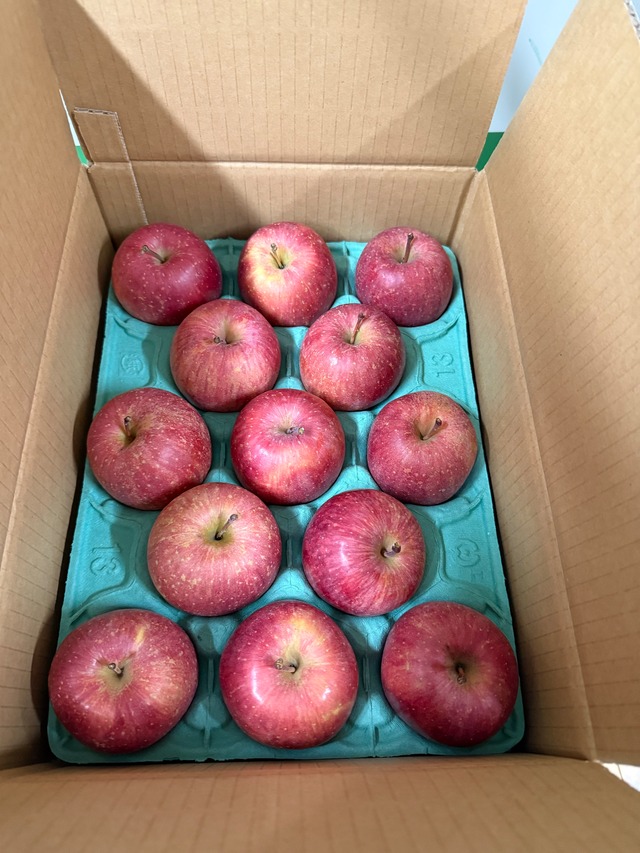 工藤さん家のりんご（1箱・3㎏入り）