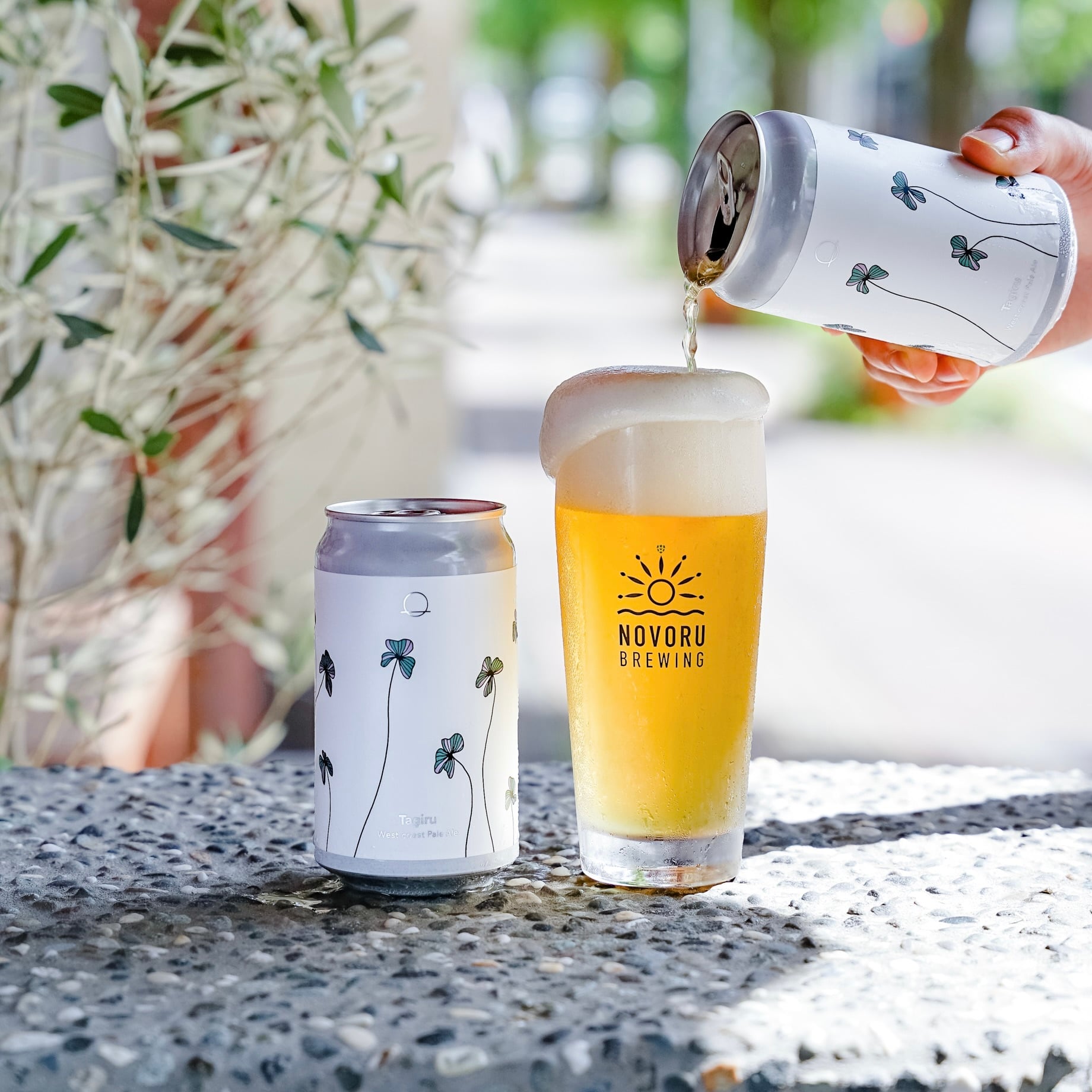 Tagiru タギル / West coast Pale Ale 350ml缶 6缶セット